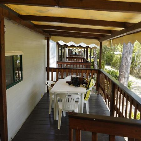 Chalet 4 Or 6 Persons Toscana Viareggio Camping Bosco Verde Italie Torre del Lago Puccini Eksteriør bilde
