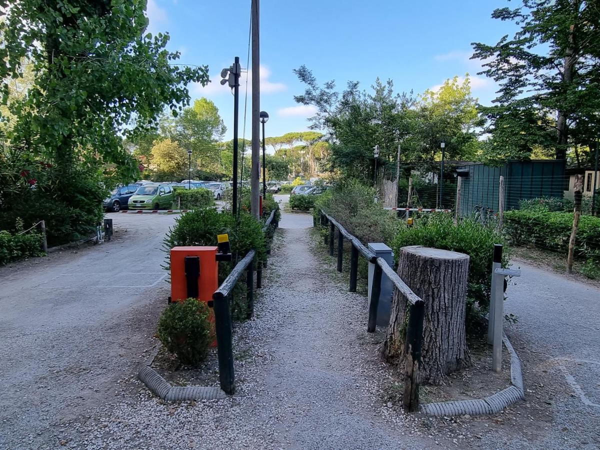 Chalet 4 Or 6 Persons Toscana Viareggio Camping Bosco Verde Italie Torre del Lago Puccini Eksteriør bilde